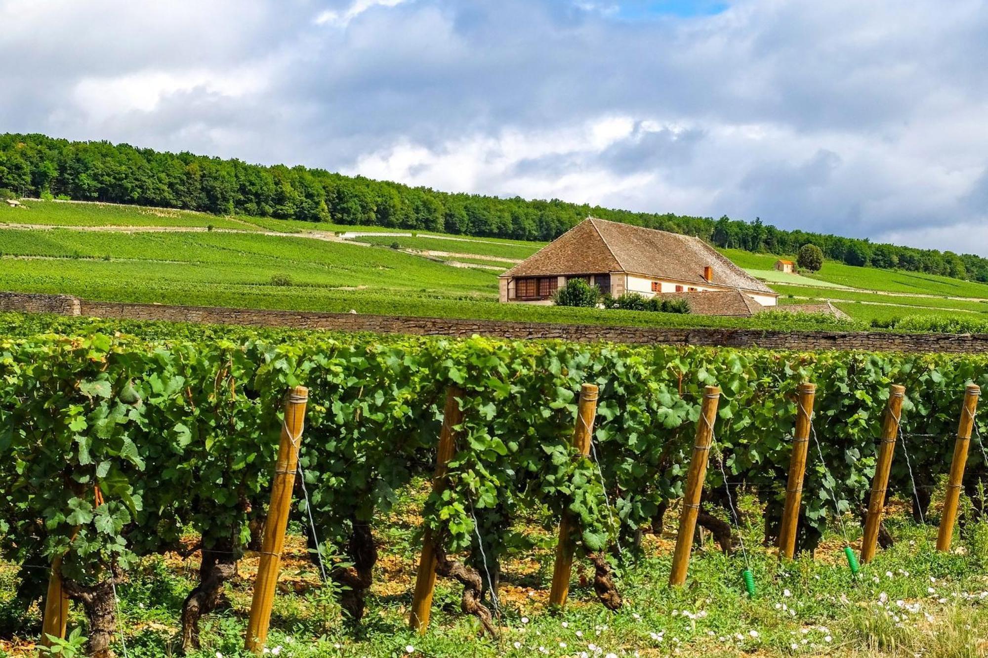 Voco Beaune , Cite Des Vins By Ihg Extérieur photo